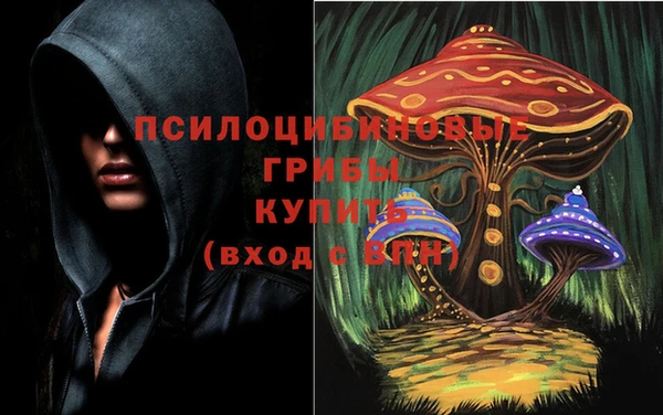 a pvp Белоозёрский