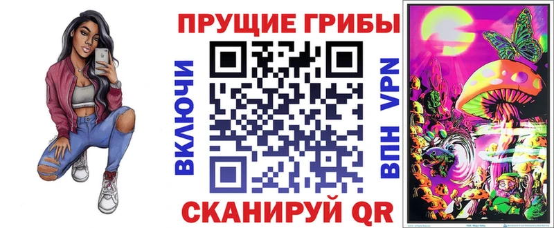 Псилоцибиновые грибы Psilocybine cubensis  Павловск 